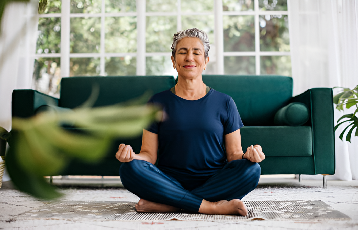 Wellness Care
